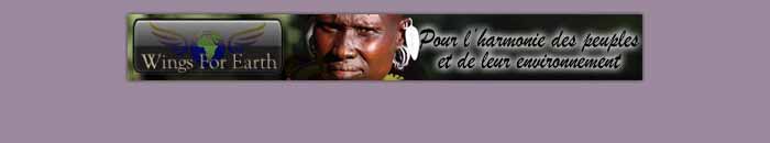 Realisations de bannieres web