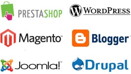 Specialiste des CMS Prestashop, Magento, Joomla, Wordpress, Blogger ou Drupal